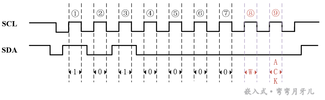 BYTE 传输格式